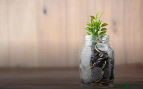 How to Safely Store Crypto Assets: Top Security Tips