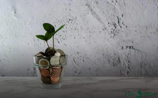 Minimalism and Money: How Less Can Lead You to Success
