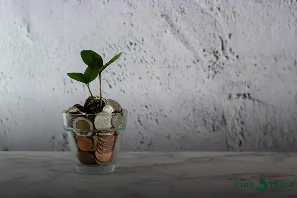 Minimalism and Money: How Less Can Lead You to Success